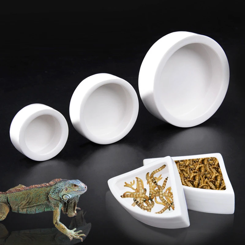 Reptile Ceramic Food Dish Lizard Water Food Bowl Reptiles Bowl Prevent Bread Worms From Escaping