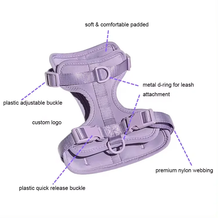 Custom Logo Luxury Dog Collar Pet Walk Kit Leashes Adjustable Waterproof Neoprene Soft PVC Silicone Dog Harness and Leash Set