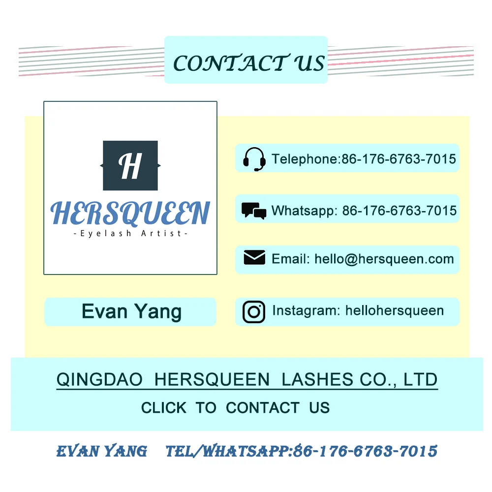 evan yang contact