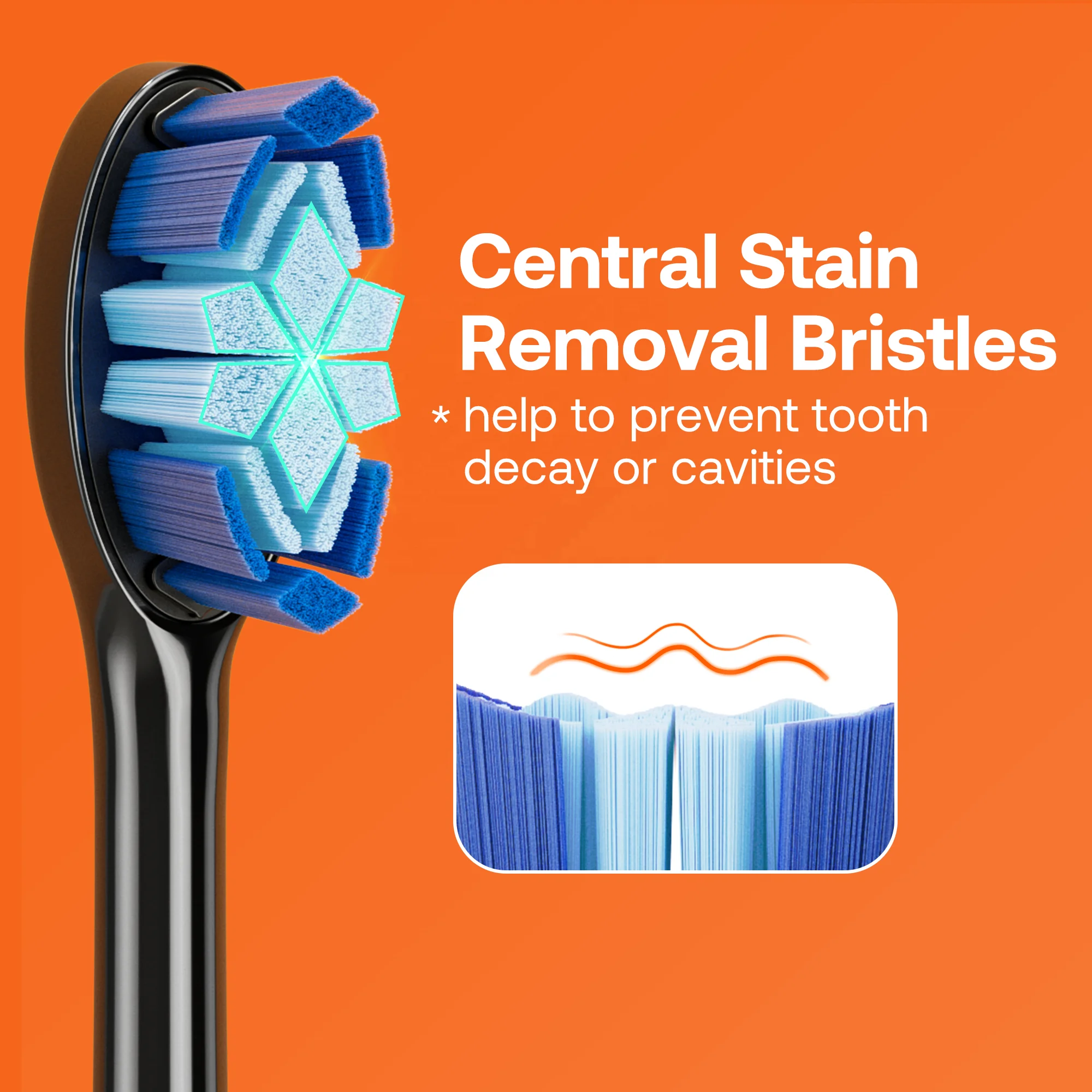 Bitvae BV S3 ADA Accepted Clean Sonic Electric Toothbrush for Adults