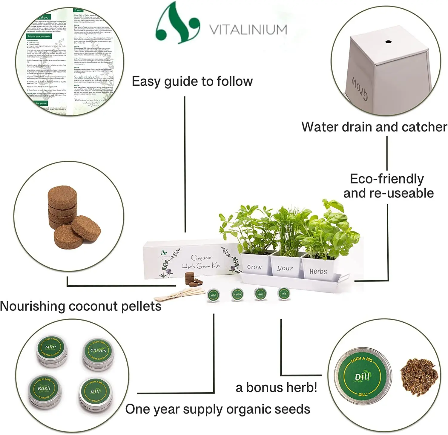 Complete Indoor Herb Garden Kit - Starter Set To Grow Fresh Herbs At Home