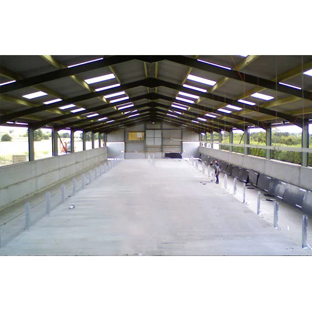 Design Structural Steel Prefab Agricultural Farm Buildings Pig Farm