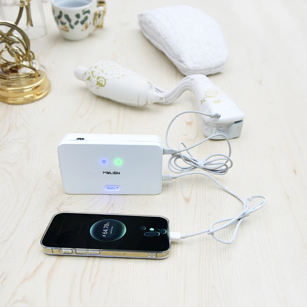 Multi-Function Dual Output Power Bank Mini UPS Type- C 20V 3.25A Output Type-C PD65W UPS Lithium Battery for ONT/ONU/BBU