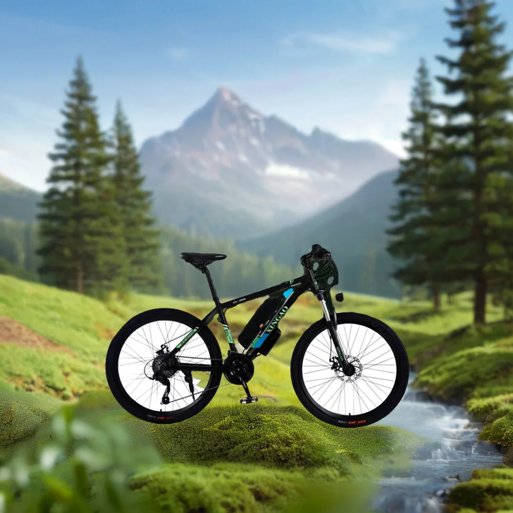 2024 Custom Carbon Fiber Bike 26-inch 350W 36V Mountain bike electric road bike