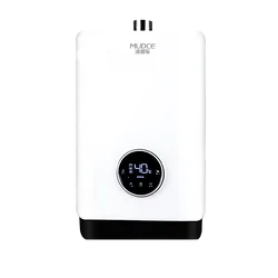 Natural gas liquefied gas thermostatic proportional valve forced smoke exhaust system gas water heater