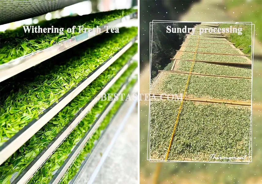 Factory wholesale Yunnan dianhong jinhao black tea China premium gold bud black tea