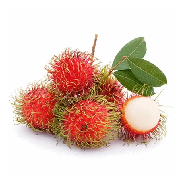 Delicious Premium Grade Frozen Rambutan good for health from Vietnam Brand Name Dieu Phu Organic