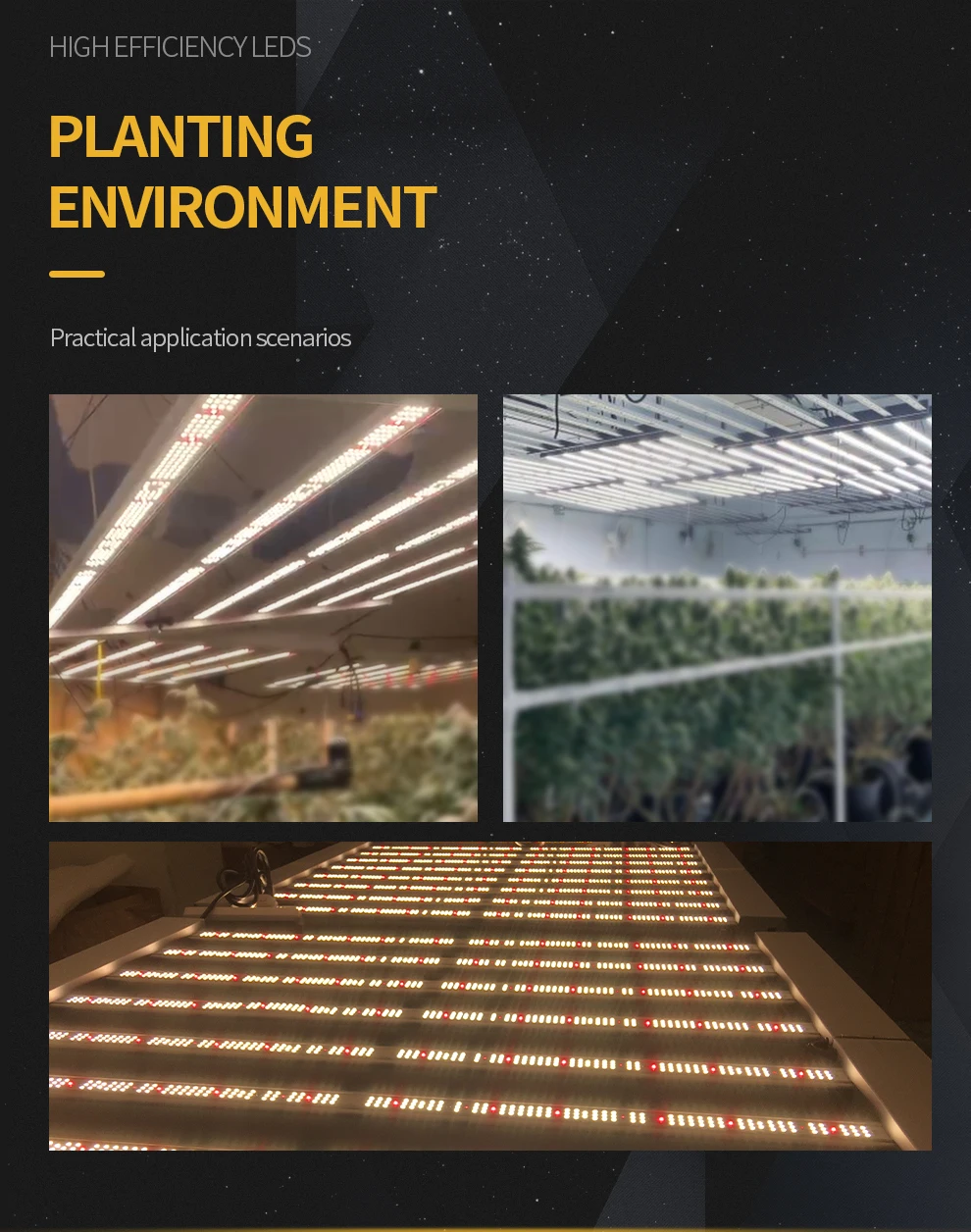 720w LED grow light_(13)