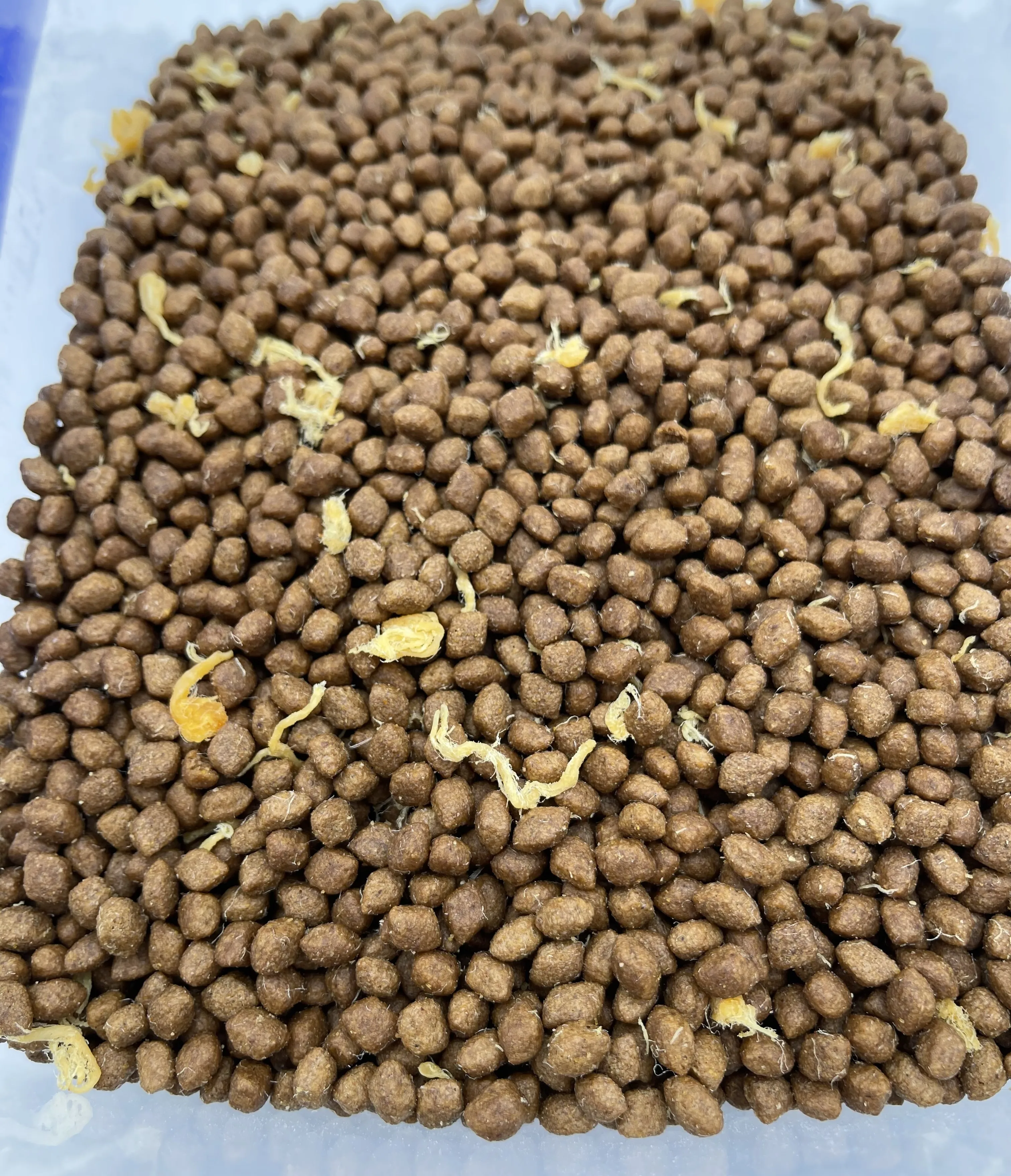 Wholesale Delicious Cats Treats Dry Pet Food Nutrition Fresh Meat Cat Snack Dry Food