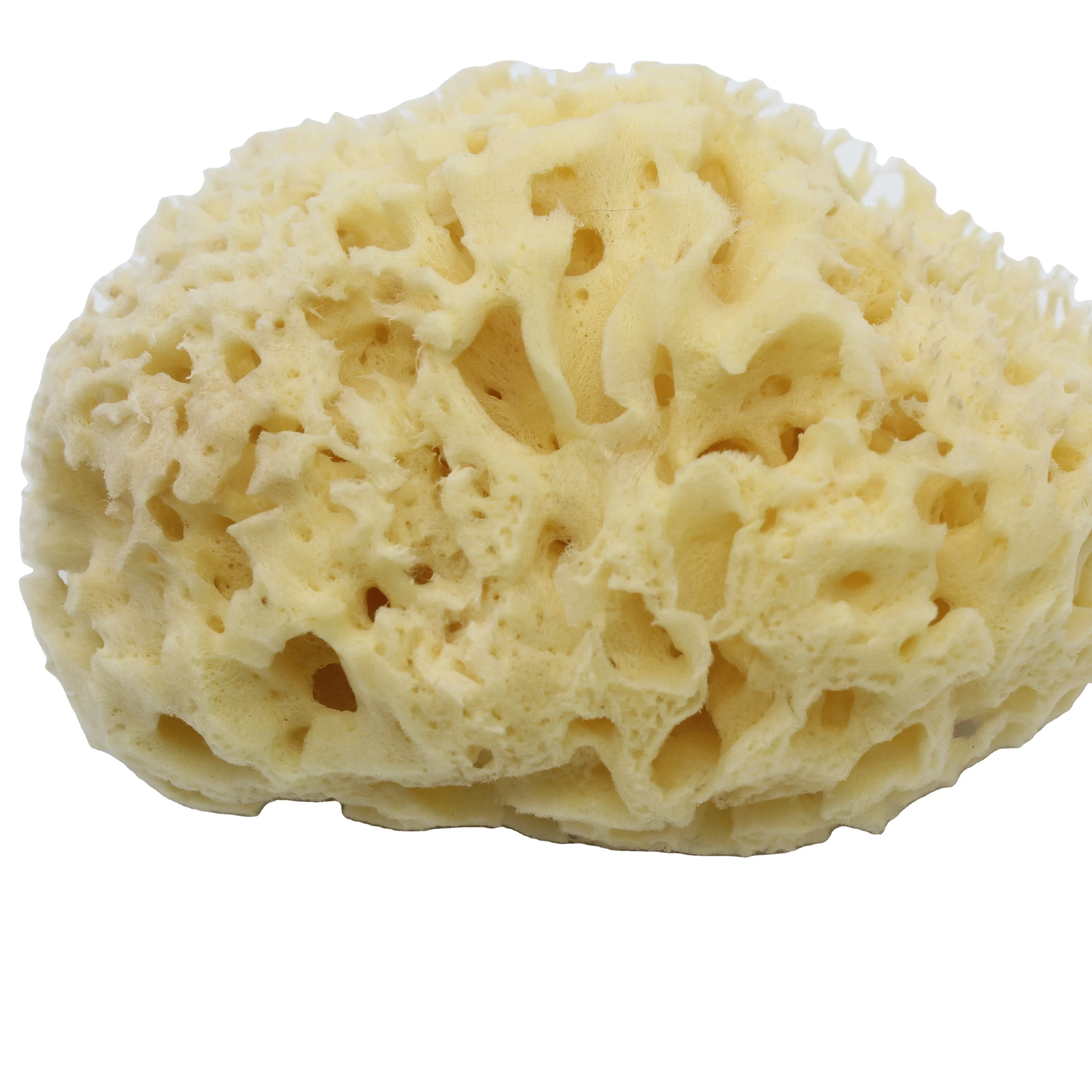 Good Quality Reusable Soft Sponge Foam Honeycomb Natural Sea Sponge For Bath