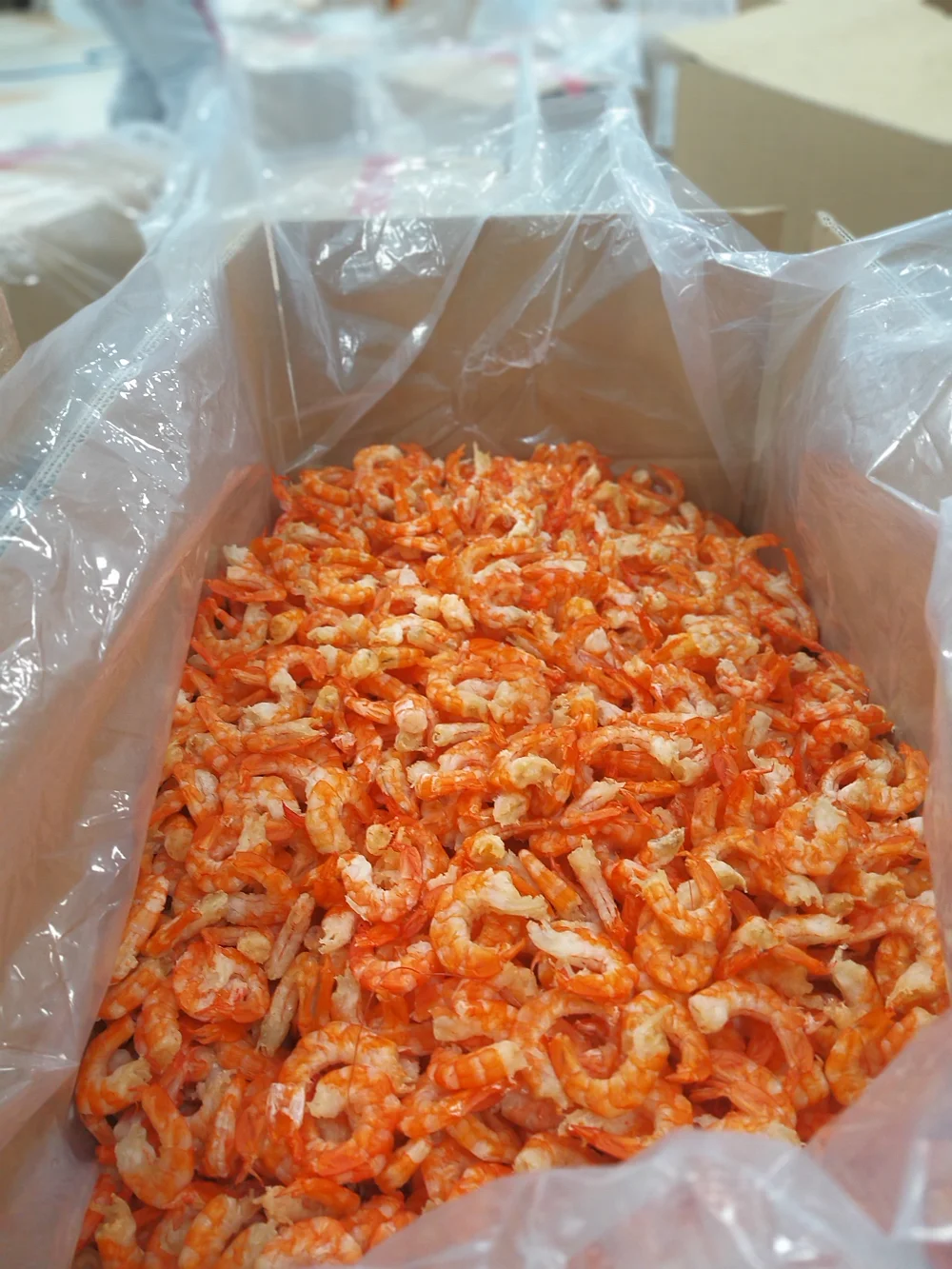 
dried shrimp Dried HOSO Vannamei Shrimp (cooked shrimp) 