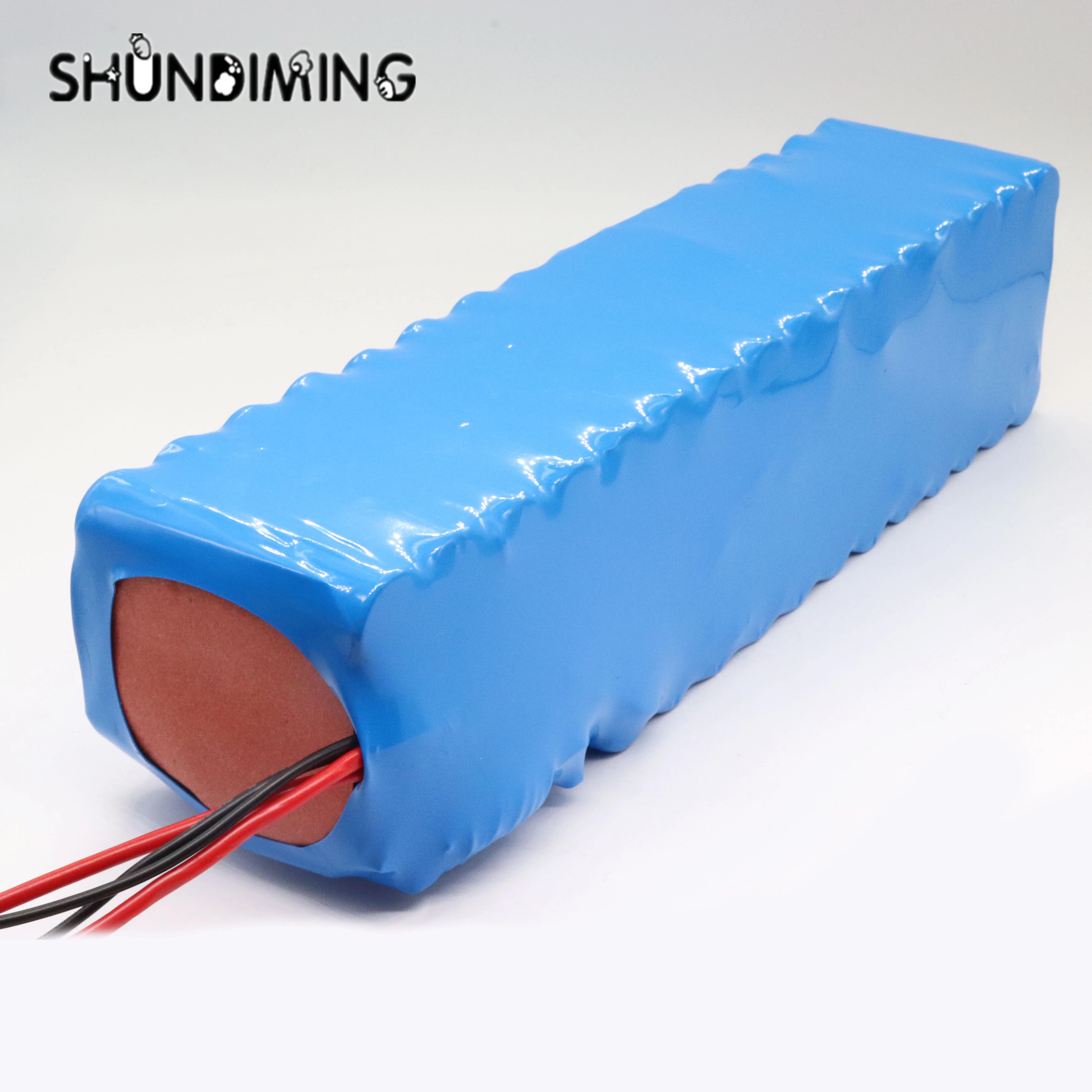 high quality 1000w tesla lithium 21700 battery cells 48 volt 20ah battery for electric ebike