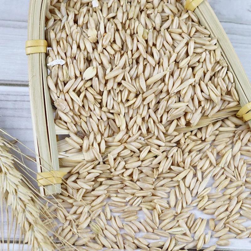 Best Selling Quick Rolled Oat Flakes Oat Flakes/Instant Oatmeals/ Breakfast Cereals Hulled Oats