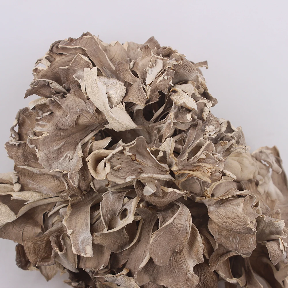 Wholesale Price High Quality Maitake Natural Maitake Hui Shu Hua Dried Maitake Mushroom
