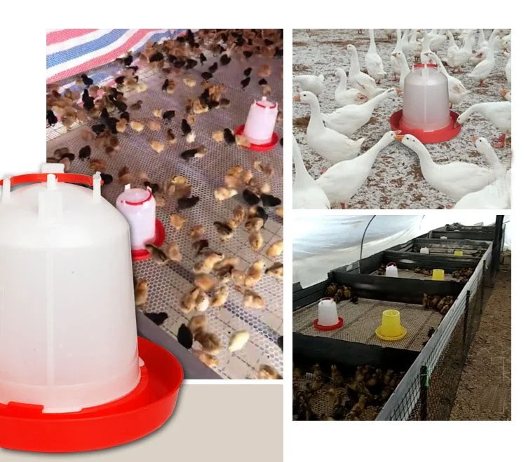 
Low price automatic poultry drinking system animal drinker chicken drinker 