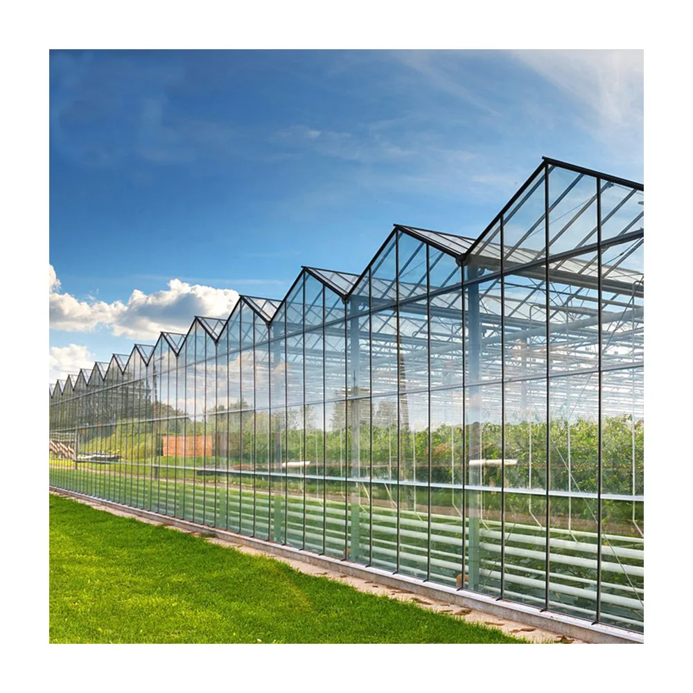 Custom Digital Control 4 Season Hydroponic System Glass Houses Agricultural Equipment Glass Greenhouse