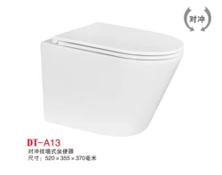 Wall-hung Toilet Style Washdown Ceramic Wholesale Customization European Water Saving Wall Mounted Dual Flush 3/4.5L Modern