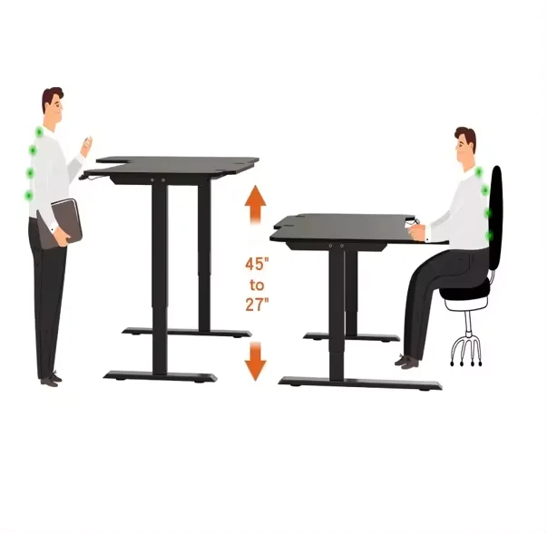 NEW Arrival Sit-Stand Height Adjustable Electric Table Sit Standing Computer Dual Motor Desk