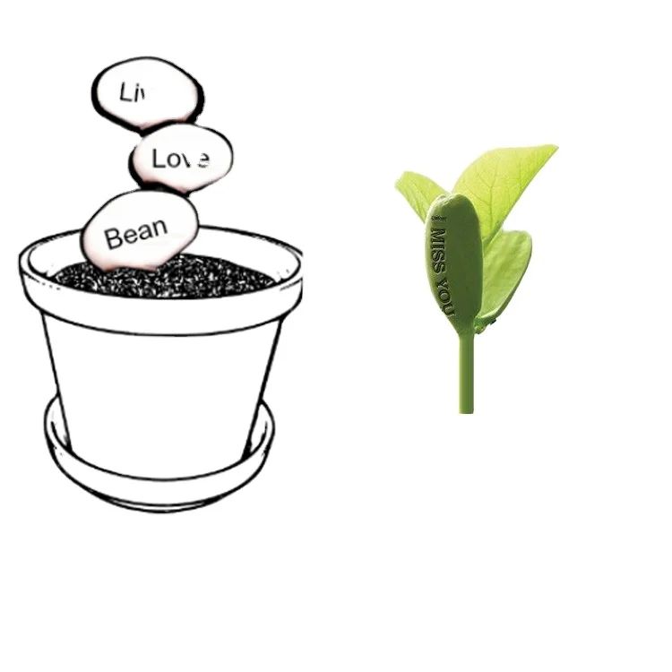 Волшебное яйцо завод