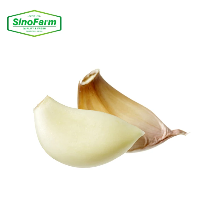 China Fresh Peeled Garlic Cloves Manufacturer Supplier Chinese Peeled Garlic New Crop