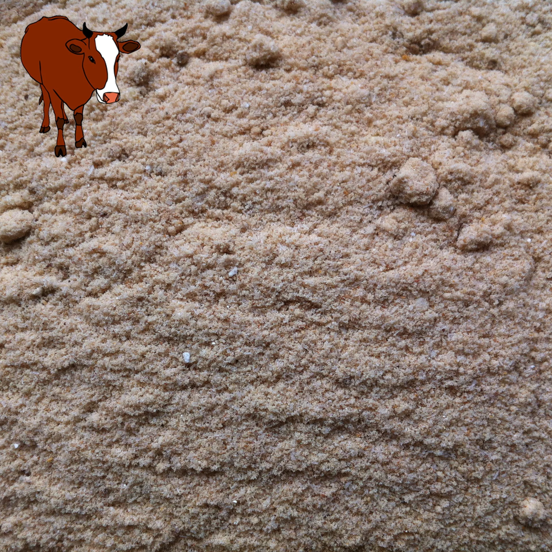 10 г x 600 пакетов в упаковке халяльный вкус говядины порошок для приправ сушеная говядина порошке