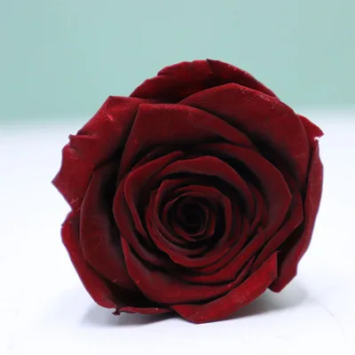 5-6CM 6pcs Level A Preserved Rose Flowers Head Forever Roses Real Eternal Rose for Wedding Home Decoration
