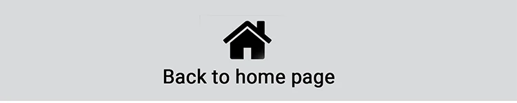 DC and AC translator 