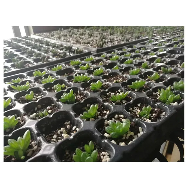 6 15 18 32 50 72 98 105 128 162 200 holes cells plastic seed starter tray black PS nursery seed trays