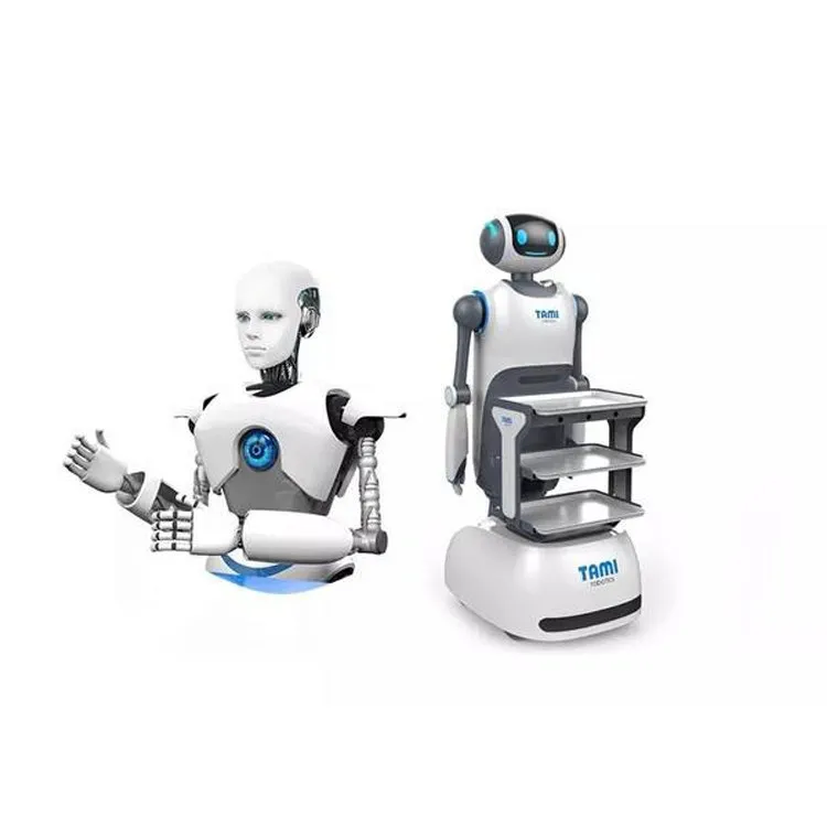 mingren Customized PC ABS plastic silicone duplicate vacuum casting robot products