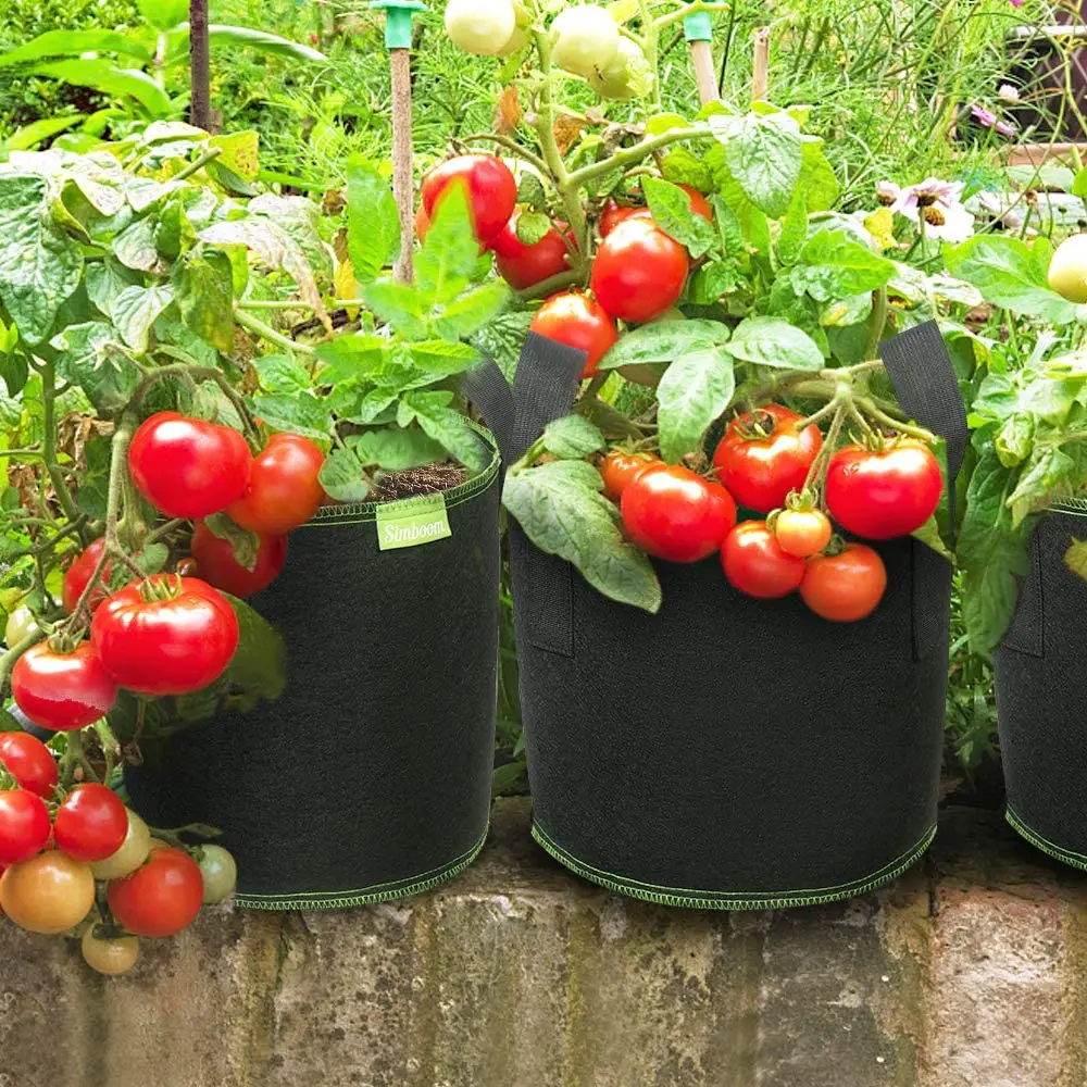 Good Quality  3 5 7 10 20 30 50 100 200 Gallon Planter Grow Bags Fabric Plant Grow Pots Garden Potato Felt Grow Bags