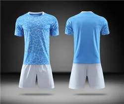 Оптовая продажа; Мужская футболка