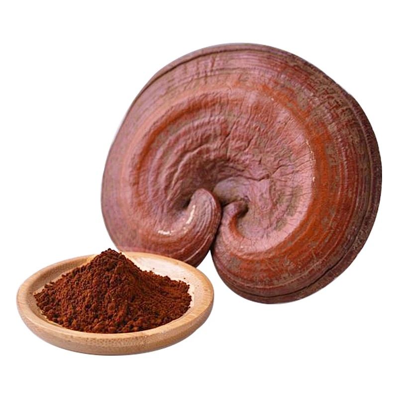 Reishi mushroom extract powder ganoderma lucidum spore extract