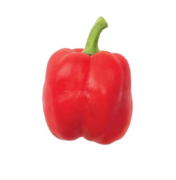 
Fresh vegetables and fruits Red Bell Pepper Suppliers Vietnam brand 