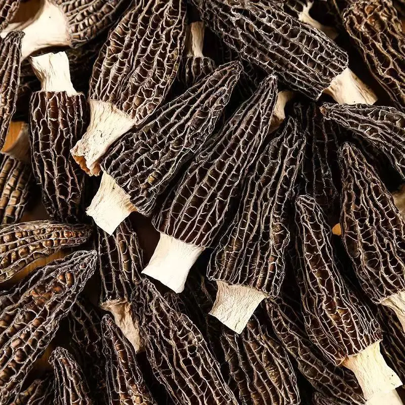 High-quality dried morels directly from the manufacturer Edible black morels Mushroom Wholesale Morchella Mushroom