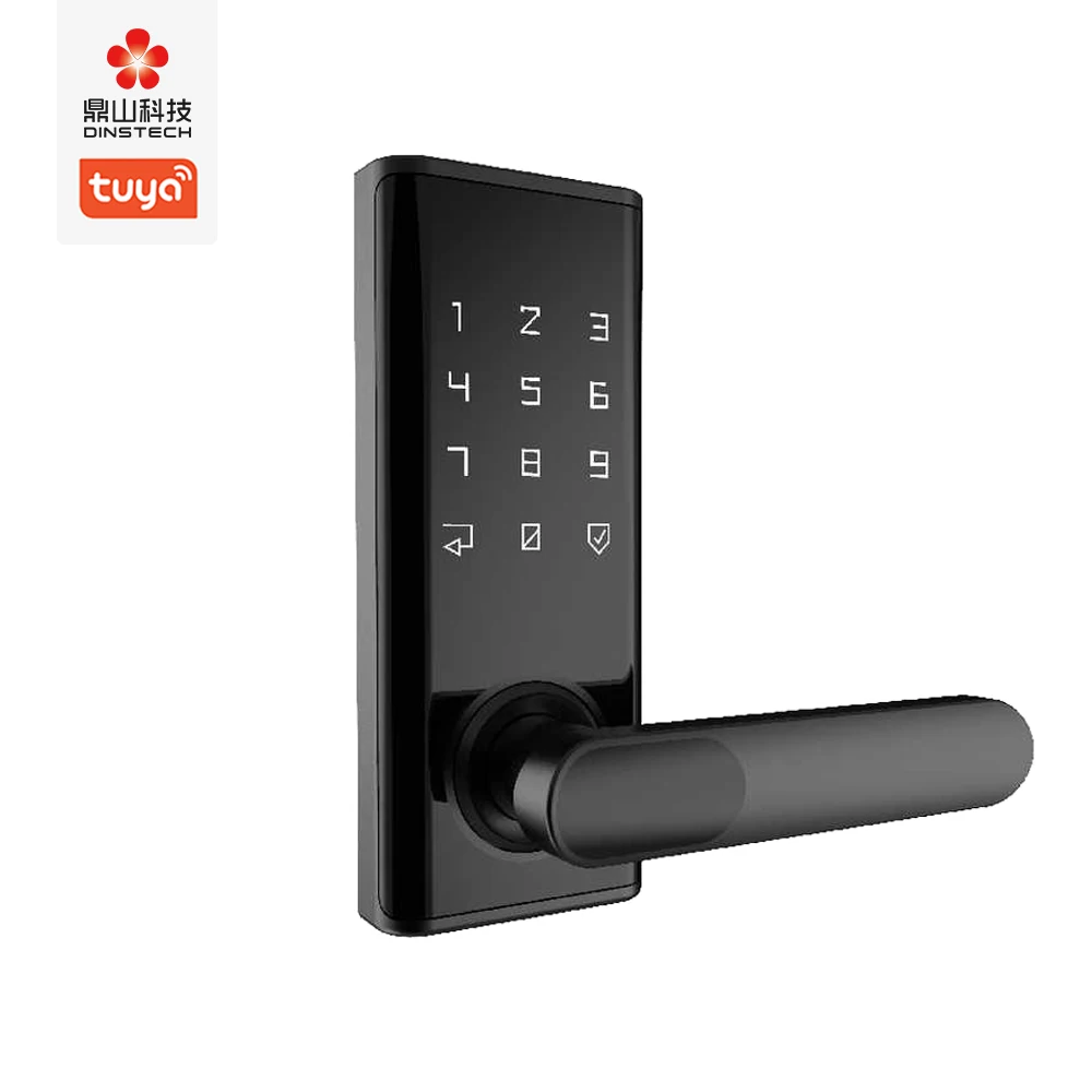 Dinstech 2023 new zinc smart  door lock remote unlock smart gateway ttlock app key card smart handle keyless door lock password