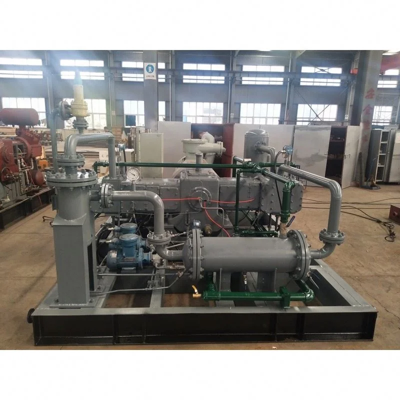 Professional Manufacturer Wholesale Price Biogas Filling Machine Gas Compressor