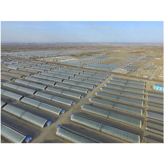 Muchen brand professional manufacturer agricultural polycarbonate solar greenhouses