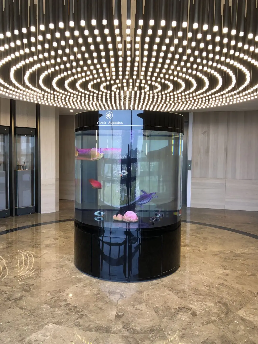 1.5m aquarium (2).jpg