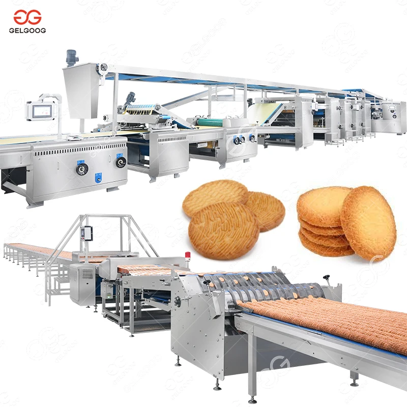 Automatic Small Rotary Cookie Molding Marie Hard Biscuit Making Plant Confectionery Biscuit Production Line 600 Kg/H