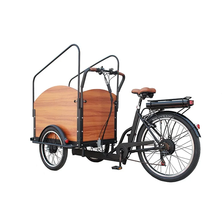 2022 electric cargo bike with alloy frame middle motor cargo tricycle /Family electric adult cargo bike carry kids/Electric biks