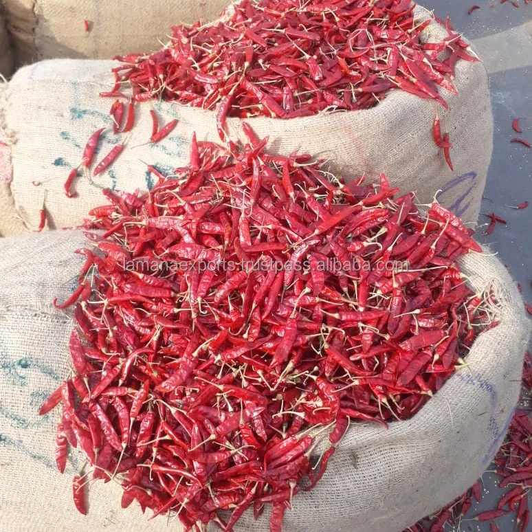 Guntur Super Dry Red Chilli S4 Sannam S334 Stemless India Chilli Premium Quality for China, Thailand