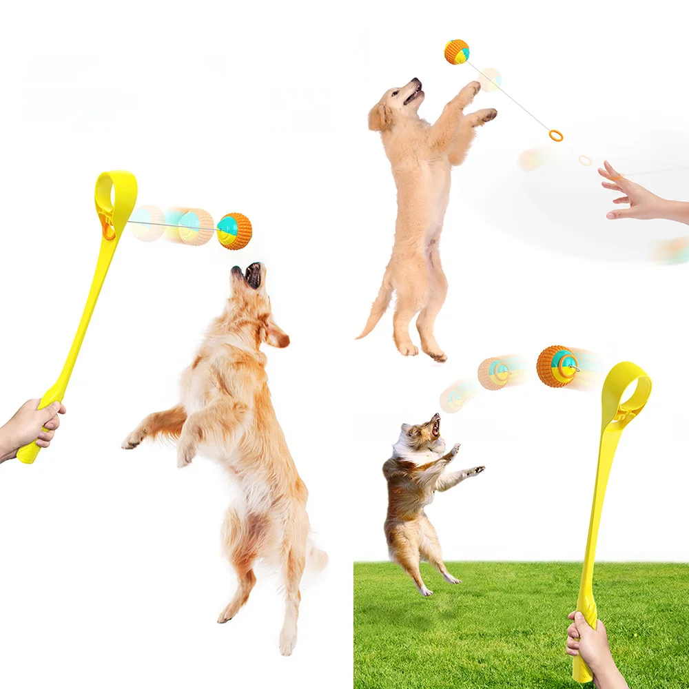 Hot products Pet Outdoor Training Interactive Ball Throwing Rod Dog Molar Toy Ball