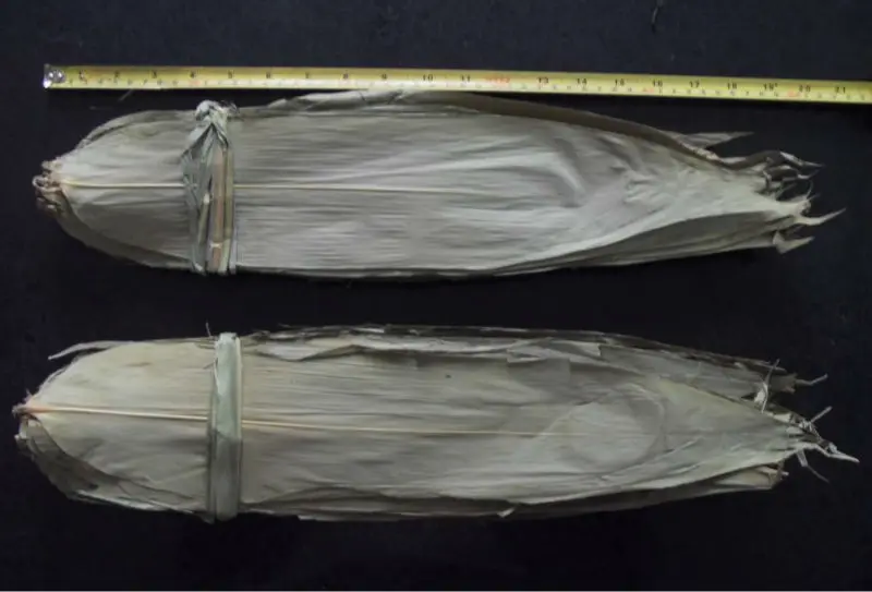 Premium Quality Raw Dried Green Natural Whole Bamboo Indocalamus Leaf