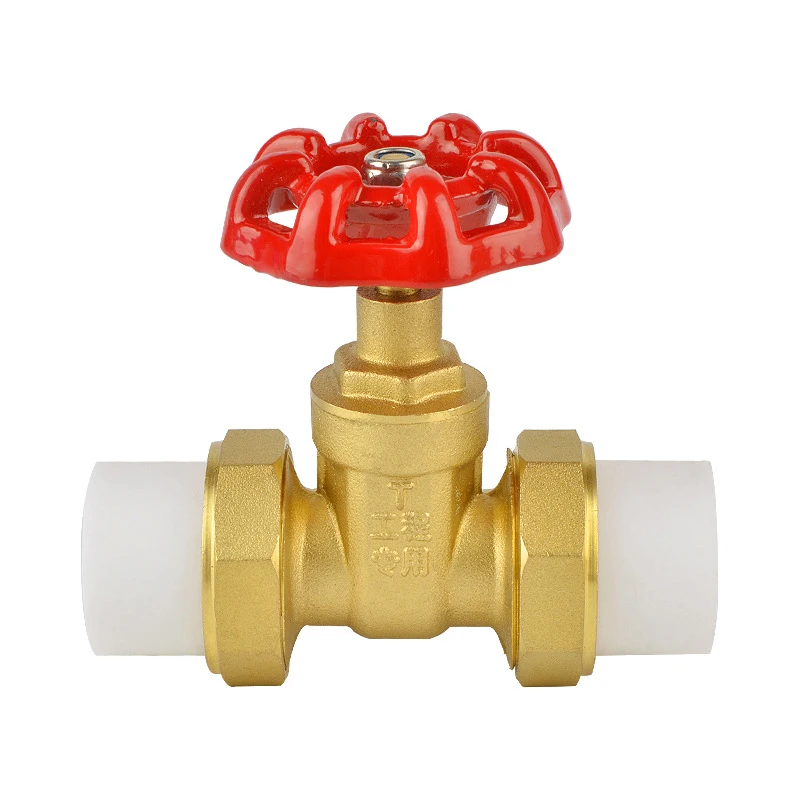 DN15-DN50 Female Brass Gate Valve Ppr Manual Lift Brass Gate Valve For Water Supply System