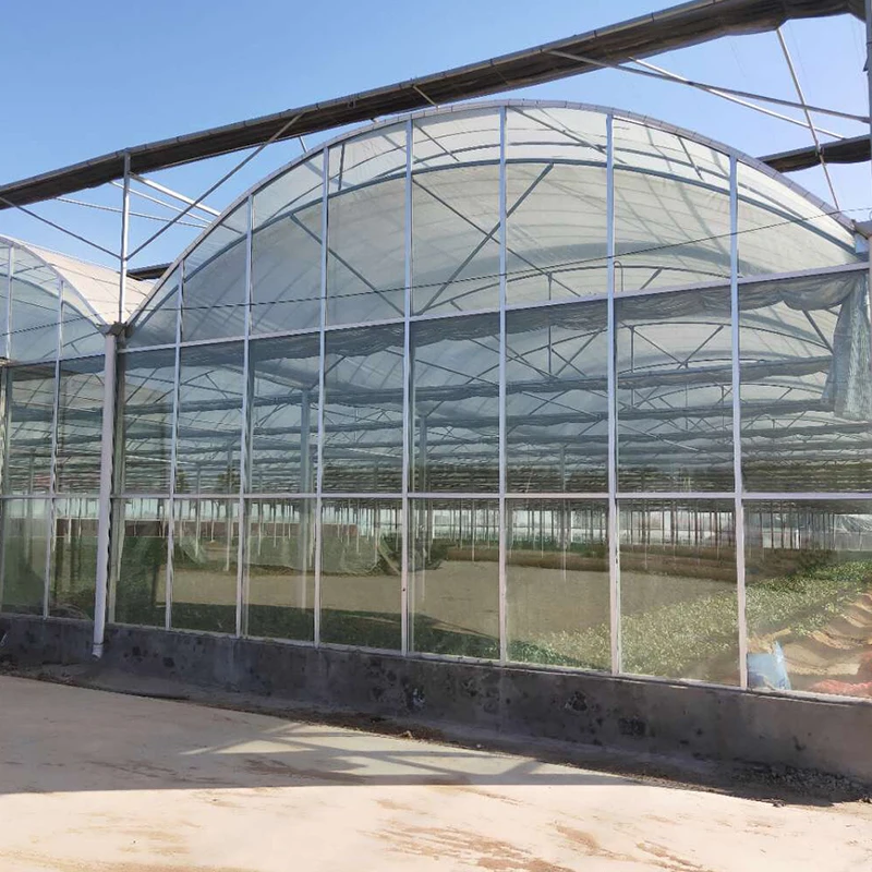 Muilti-span low cost agricultural film greenhouse for sale