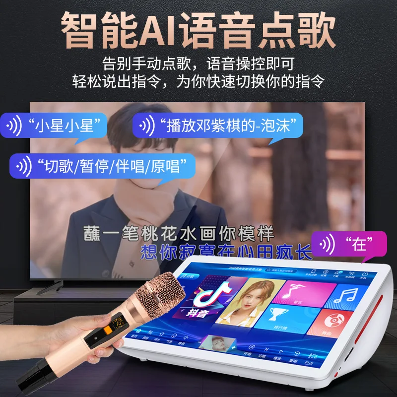 Multi-function All In One Wireless Microphone Karaoke Player