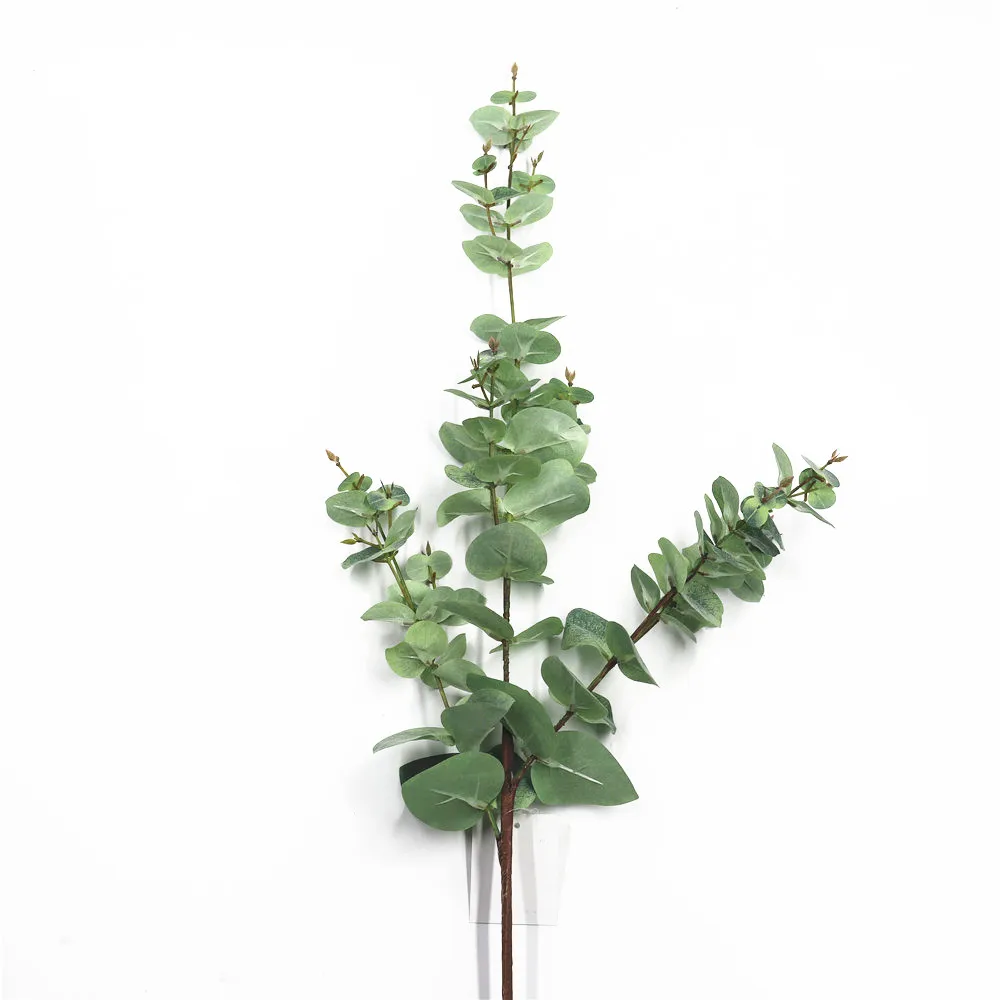 PA2619 F2507 92CM.JPG