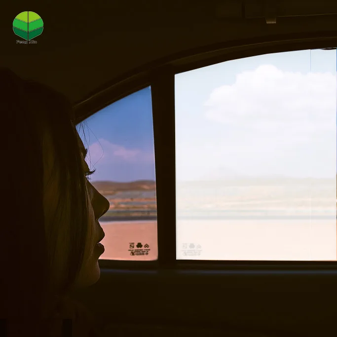 Morden High Quality Switchable Privacy Protection Window Film PDLC Smart Glass Film for Car