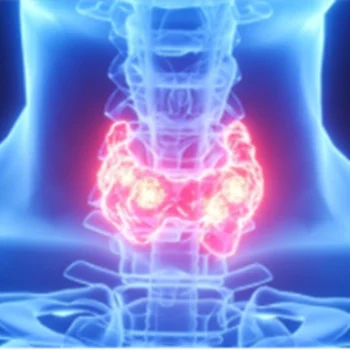 DSC Tan ita Analyzer Oxigen Detector Analyzer Immunoassay Analyzer