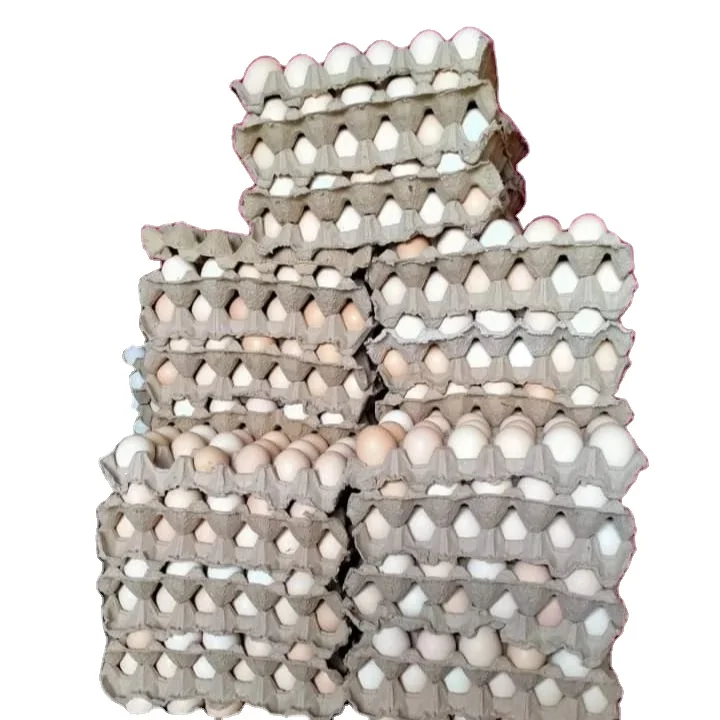 Сертифицированное лучшее качество свежее коричневое столовое куриное яйцо по низким ценам Бройлер куриные яйца свежие столовые яйца для потребления человеком